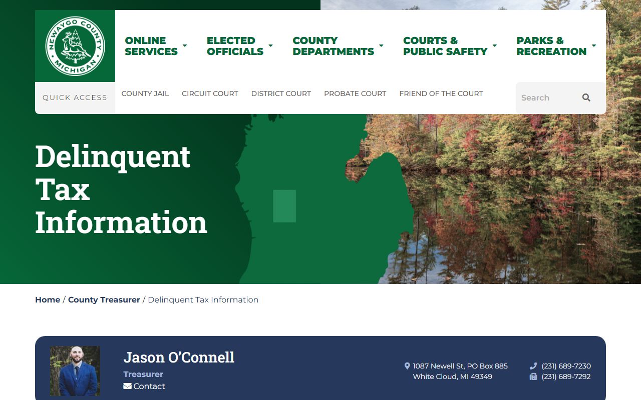 Newaygo County delinquent tax information page